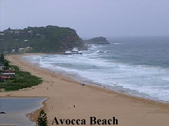 Avocca Beach