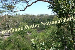 Brisbane Water National Park