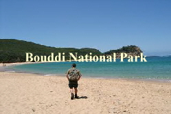 Bouddi National Park