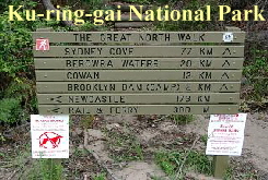 Ku-ring-gai National Park